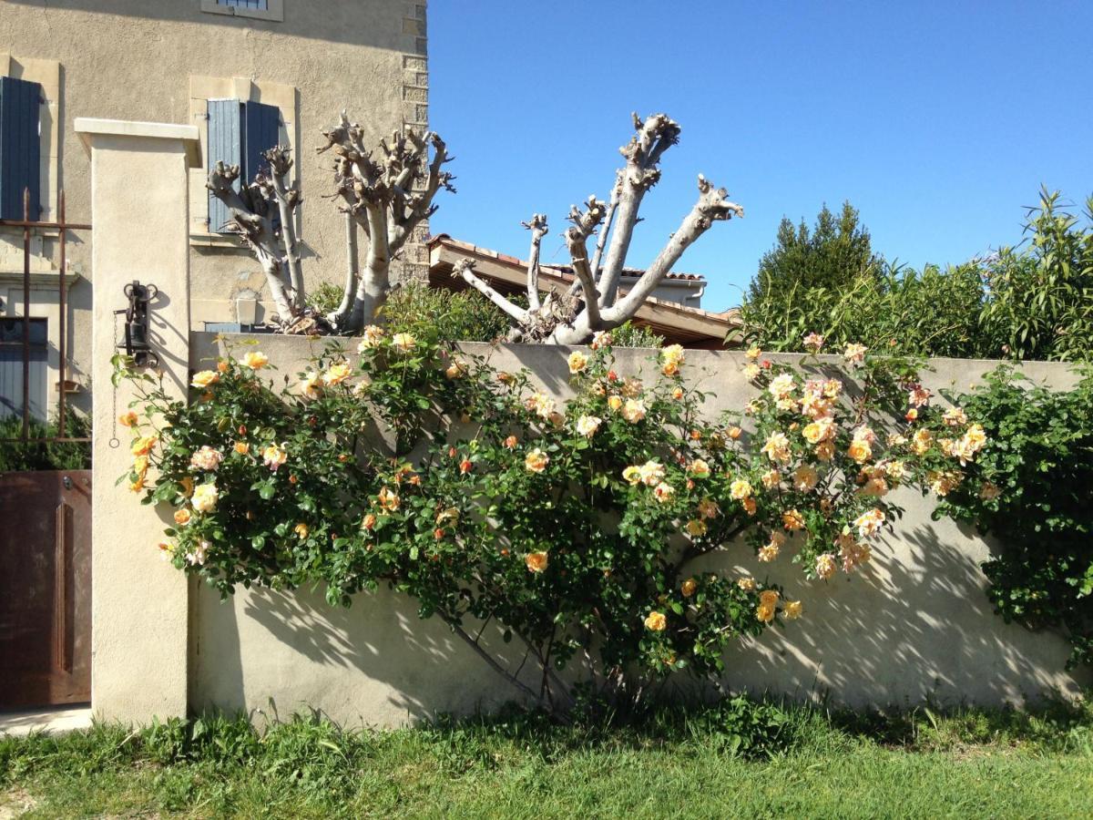 B&B - Le Vieux Figuier แวกเกราส ภายนอก รูปภาพ